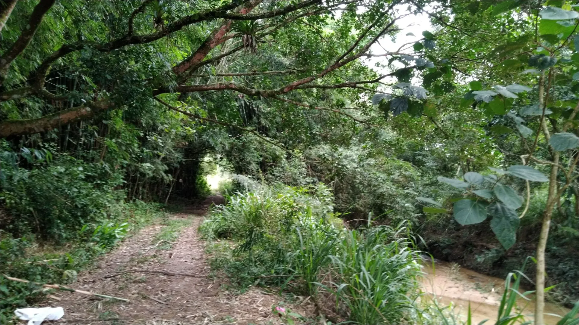 Imagem Sítio à venda com , 26.000m² em Tijuquinhas (Guaporanga) Biguaçu