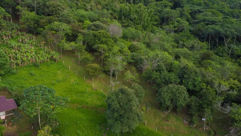 Imagem Terreno com Vista Panorâmica para o Mar à Venda no Bairro Macacu - Garopaba-SC