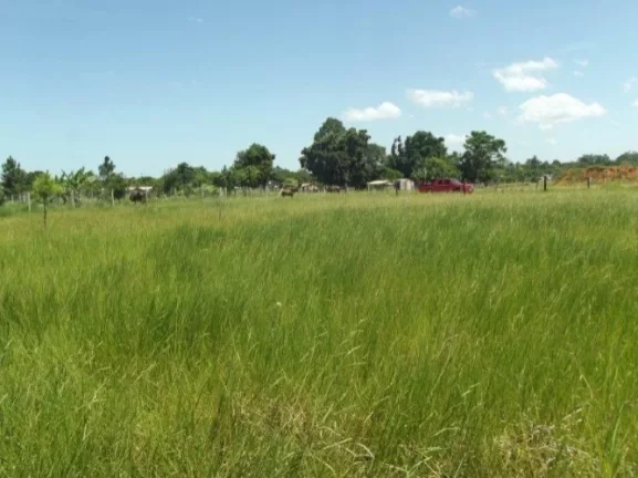 Imagem Terreno residencial em loteamento, Morro Grande / Viamão