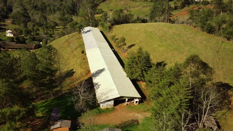 Imagem Área Agrícola para Venda em Concórdia, Rural