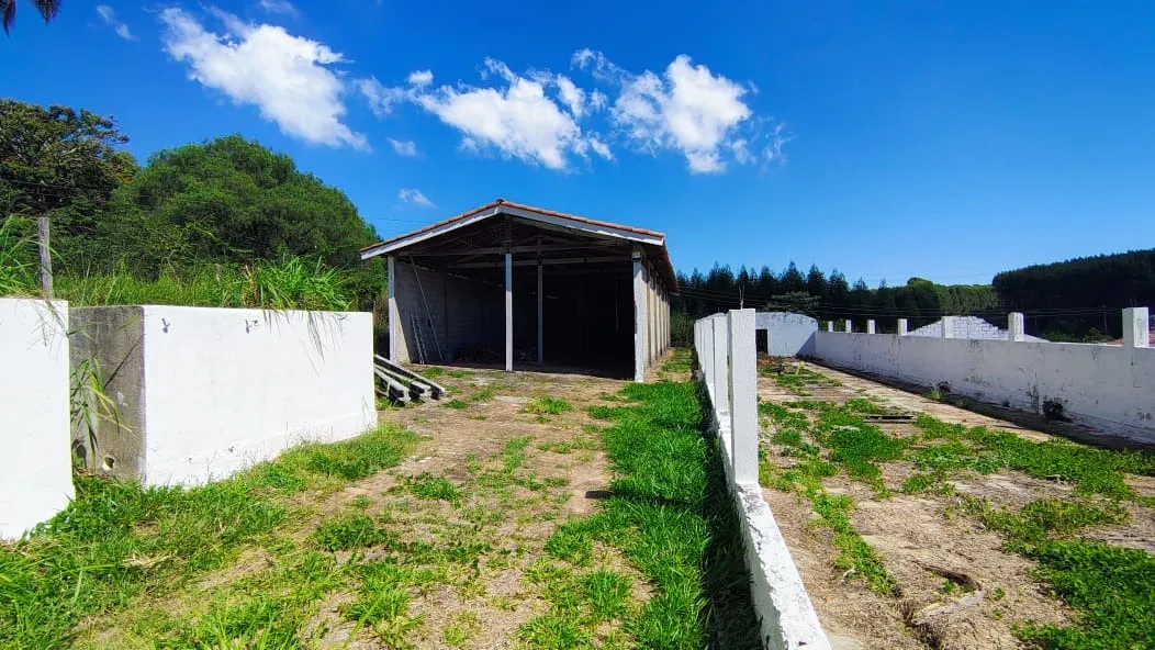 Imagem Sítio à venda em Itu-SP, 7 quartos, 2 salas, 3 banheiros, 5 vagas, 17.000m² de área. Venha conhecer!