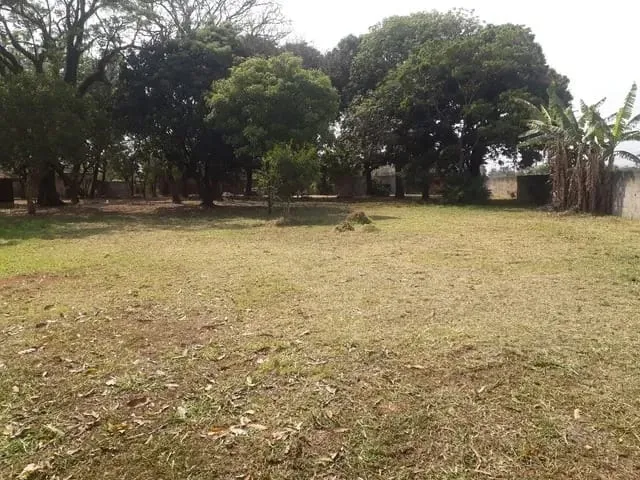 Imagem Chácara à venda 4 Quartos, 1 Suite, Jardim Princesa, Pindamonhangaba - SP