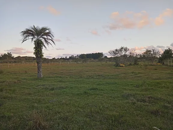 Imagem Linda área com 2 Ha., Casa, Galpão, Lavouras e Açudes, Águas Claras, Viamão