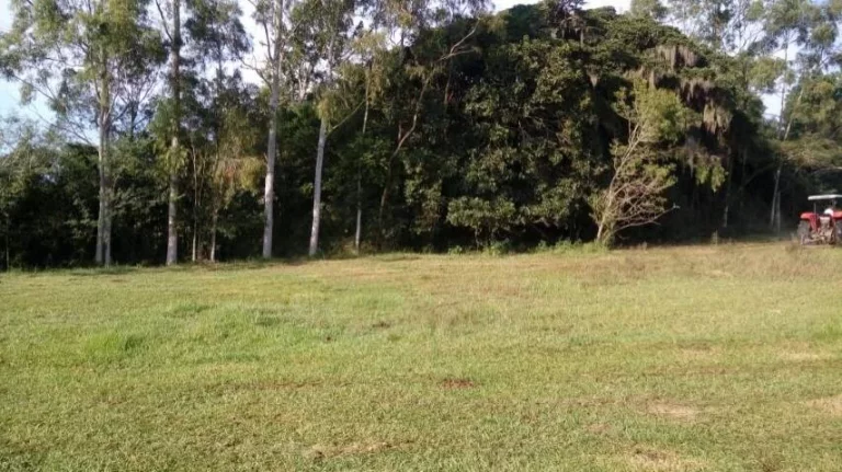 Imagem Sitio com 5.536m², mata nativa, Lagoa nos fundos, Águas Claras/ Viamão