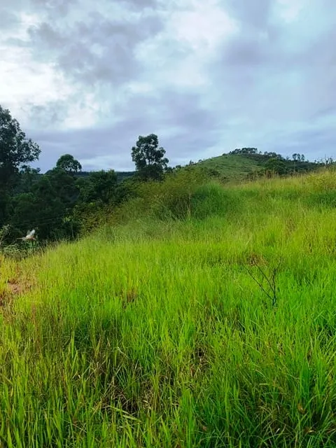 Imagem Chácara à venda 1666.67M², Goiabal, Pindamonhangaba - SP