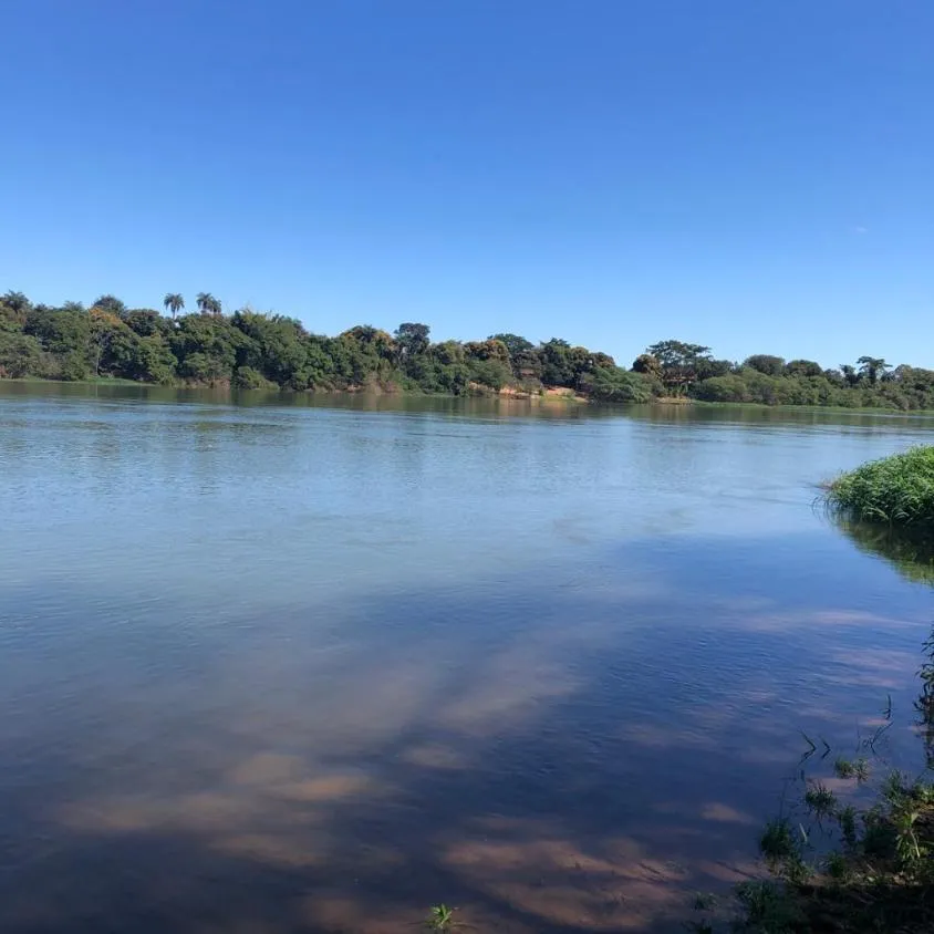Imagem FAZENDA À VENDA - VÁRZEA DA PALMA (MG) 313 hectares de área total