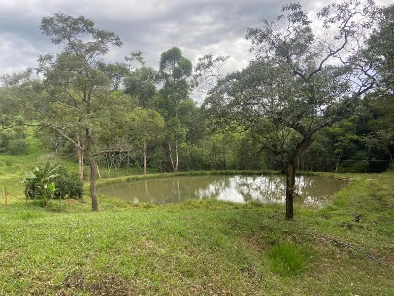 Imagem Vendo Excelente Chácara em Entre Rios de Minas - - Área de 1,6 hectares
