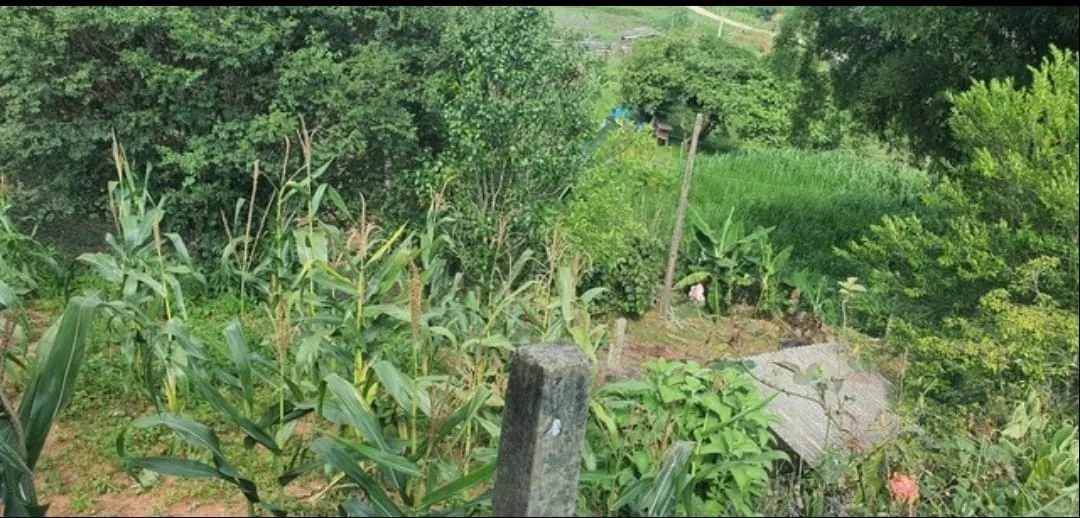Imagem Chácara à venda 3 Quartos, 1 Suite, 96800M², Zona Rural, São Luiz do Paraitinga - SP