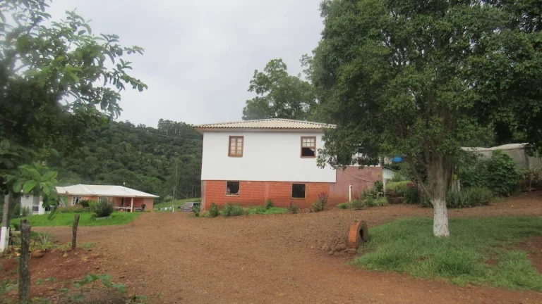 Imagem Área Agrícola para Venda em Três Arroios, Rural