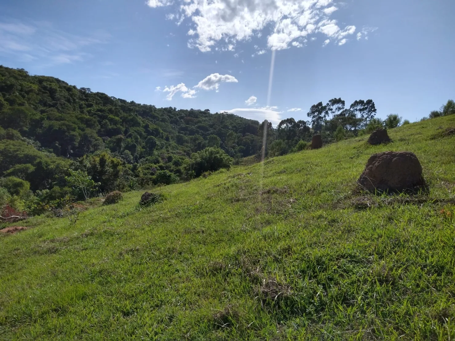 Imagem Chácara à venda 2 Quartos, 6 Vagas, 65000M², Sete Voltas, Taubaté - SP