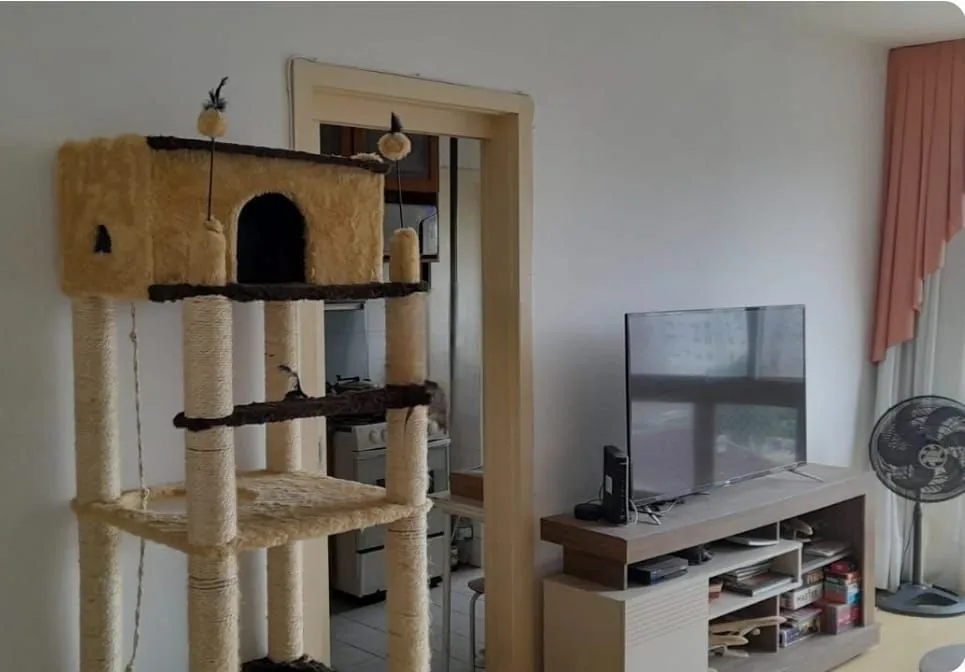 Imagem Apartamento de 3 quartos e 1 vaga de garagem escriturada no bairro Camaquã POA