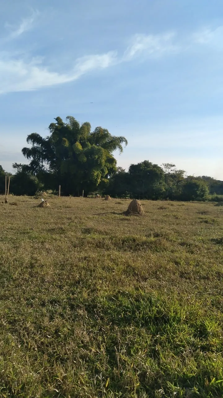 Imagem Chácara à venda 4774M², Zona Rural, Roseira - SP