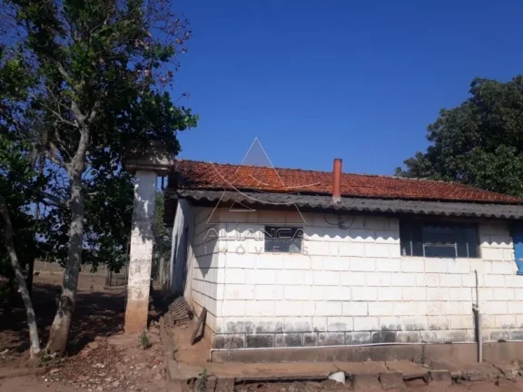 Imagem Fazenda - Cajuru - Zona Rural