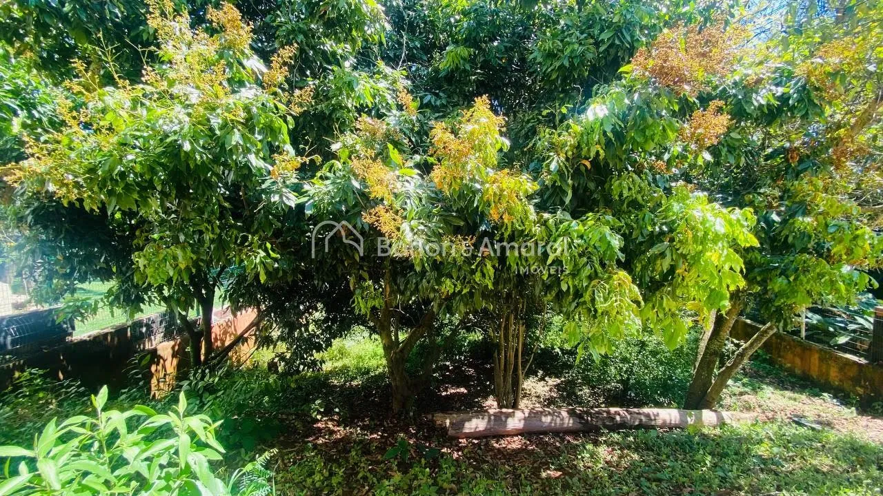 Imagem Encanto, Espaço e Natureza - Sua Nova Casa no Caminhos de San Conrado, Campinas/SP