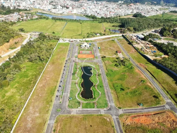 Imagem ELE É UM VERDADEIRO PARAISO