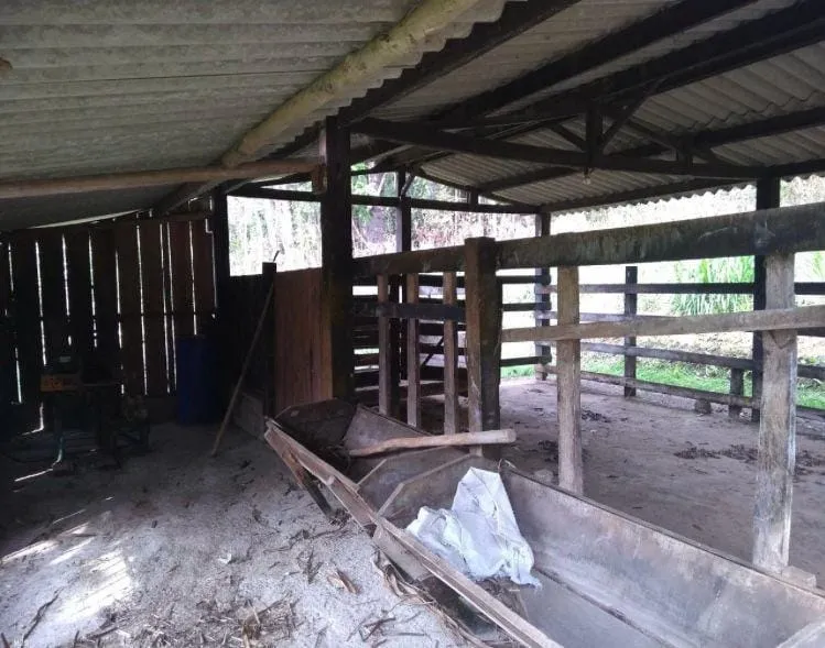 Imagem Chácara à venda, Cedro, Cunha, SP