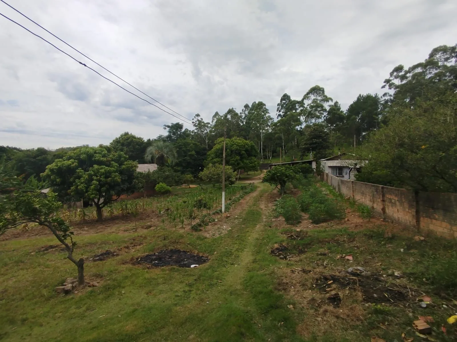 Imagem Chácara no bairro Restinga