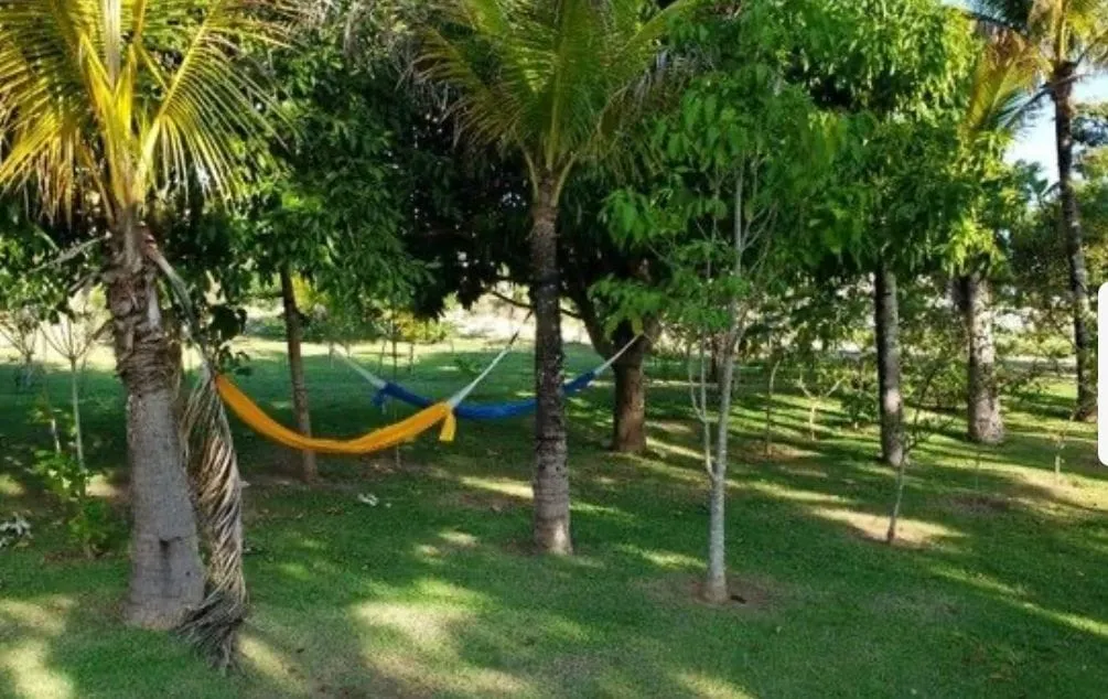 Imagem Casa à venda 3 Quartos, 3 Suites, 5 Vagas, Fazenda Itapecerica, Taubaté - SP | Quinta das Palmeiras