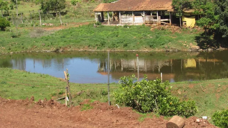 Imagem Área Agrícola para Venda em Arabuta, Rural