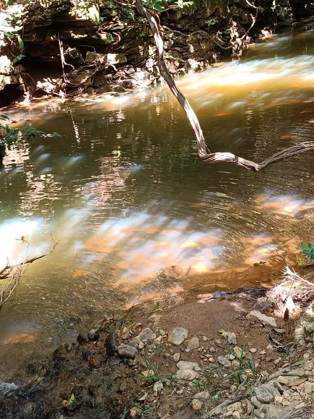 Imagem FAZENDA À VENDA EM SANTANA DO PIRAPAMA ? MG , com 338 hectares de terra