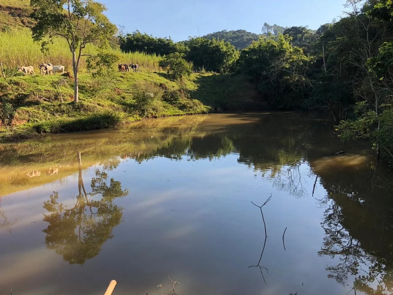 Imagem Chácara à venda 3 Quartos, 1 Suite, 110000M², Zona Rural, Roseira - SP