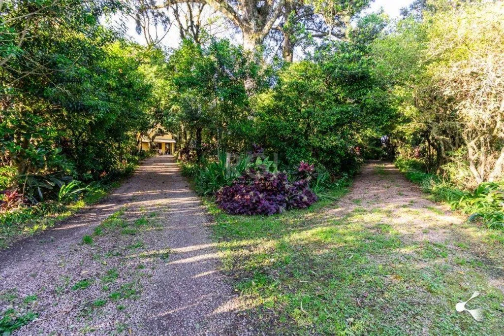 Imagem Sítio para Venda - 25000m², 0 dormitórios, Lomba do Pinheiro