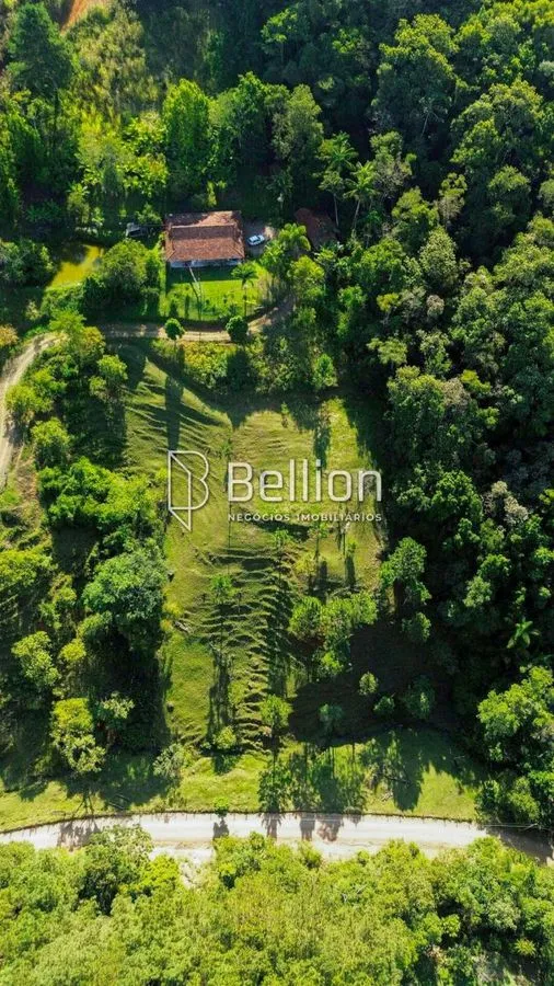 Imagem Sítio com Ribeirão e 6.000m² em Benedito Novo - Ideal para Chalés ou Moradia!