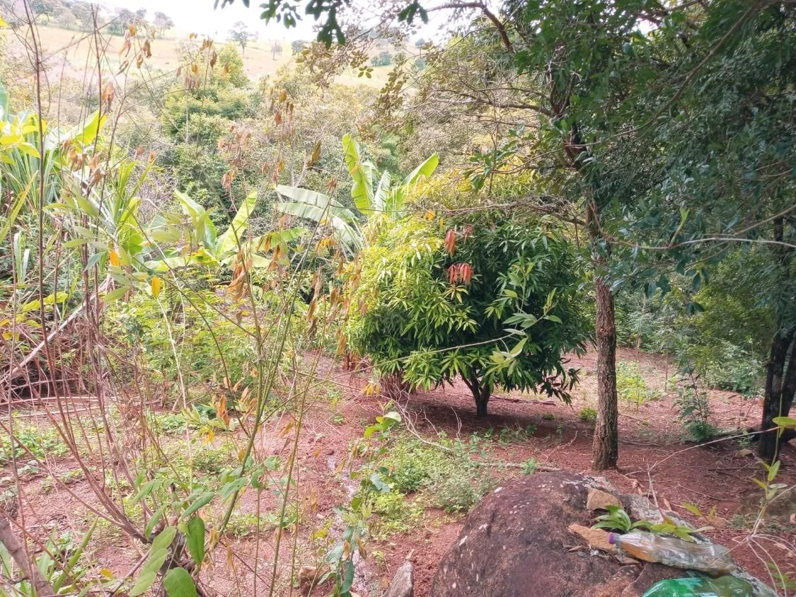 Imagem Vendo ótima chácara em Piracema com 3.000 m² de area