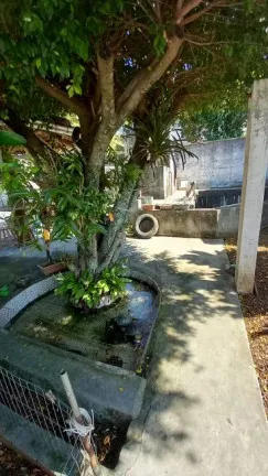 Imagem Casa com 3 Quartos à Venda, 200 m² em Nossa Senhora da Salete - Criciúma