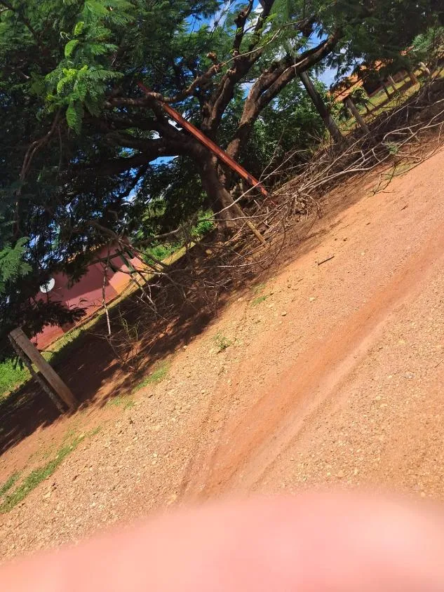 Imagem FAZENDA a venda 95ha em CURVELO/MG