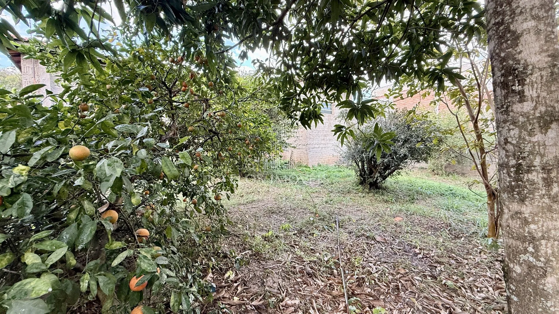 Imagem Chácara de 1 quarto, 137m² no bairro Jardim Celina, em Limeira