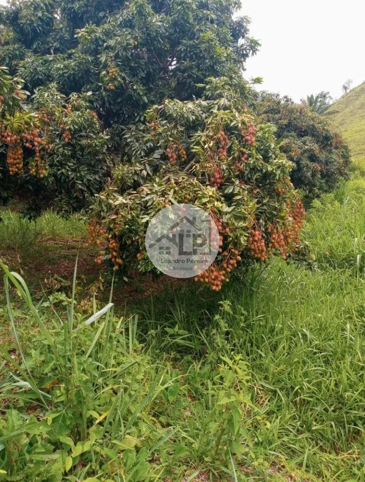 Imagem Fazenda/Sítios/Chácaras de 480000m² no bairro Carmo, em Carmo