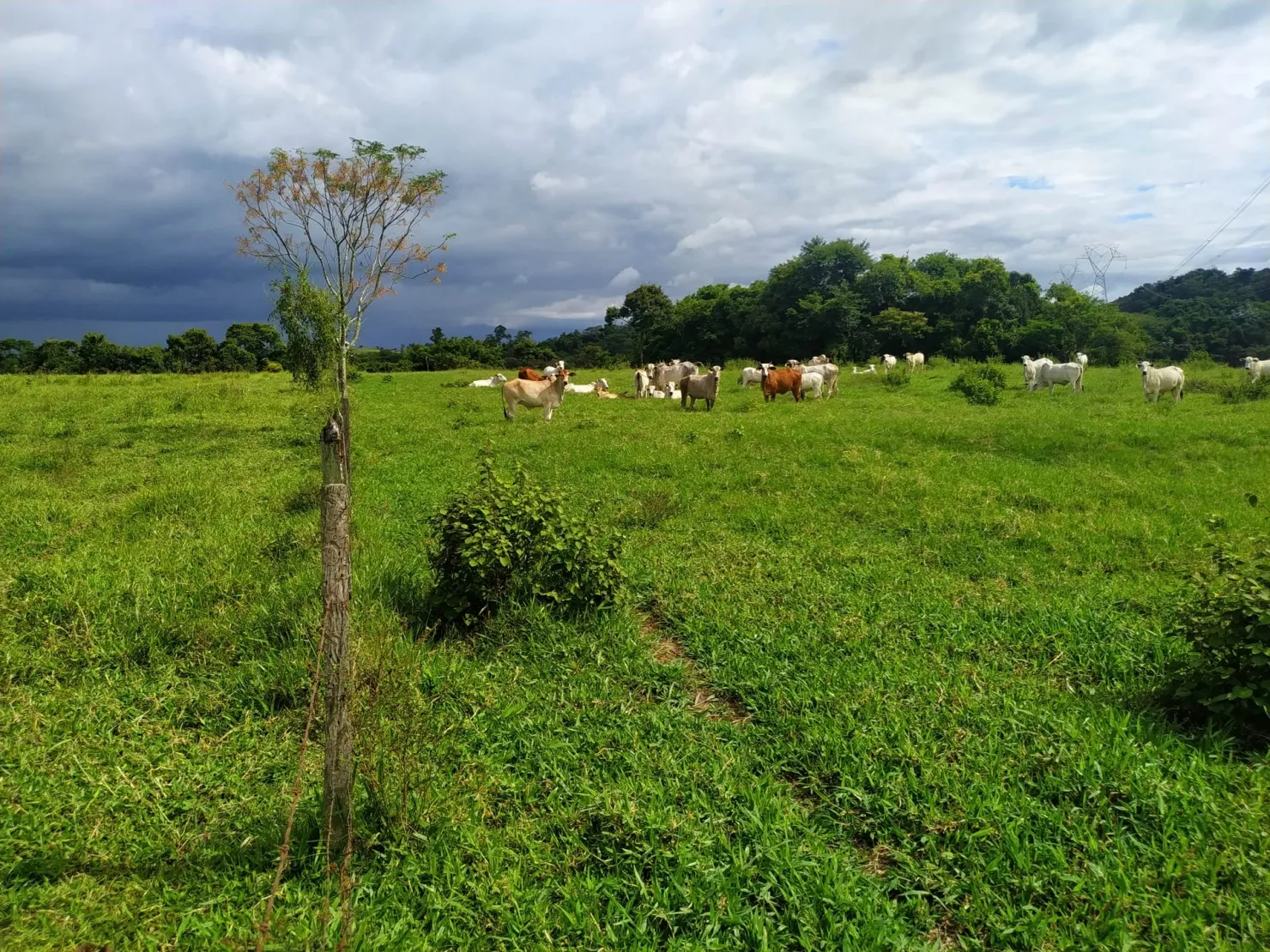 Imagem Chácara à venda 170000M², Bom Sucesso, Pindamonhangaba - SP