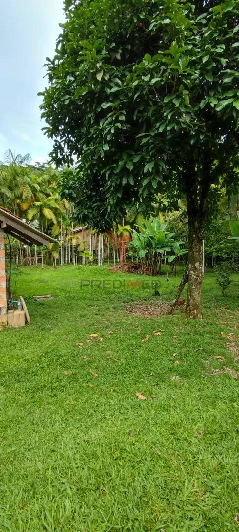 Imagem Chácara em Blumenau. Com rancho em construção. Lagoa com água. Poço artesiano. Pomar