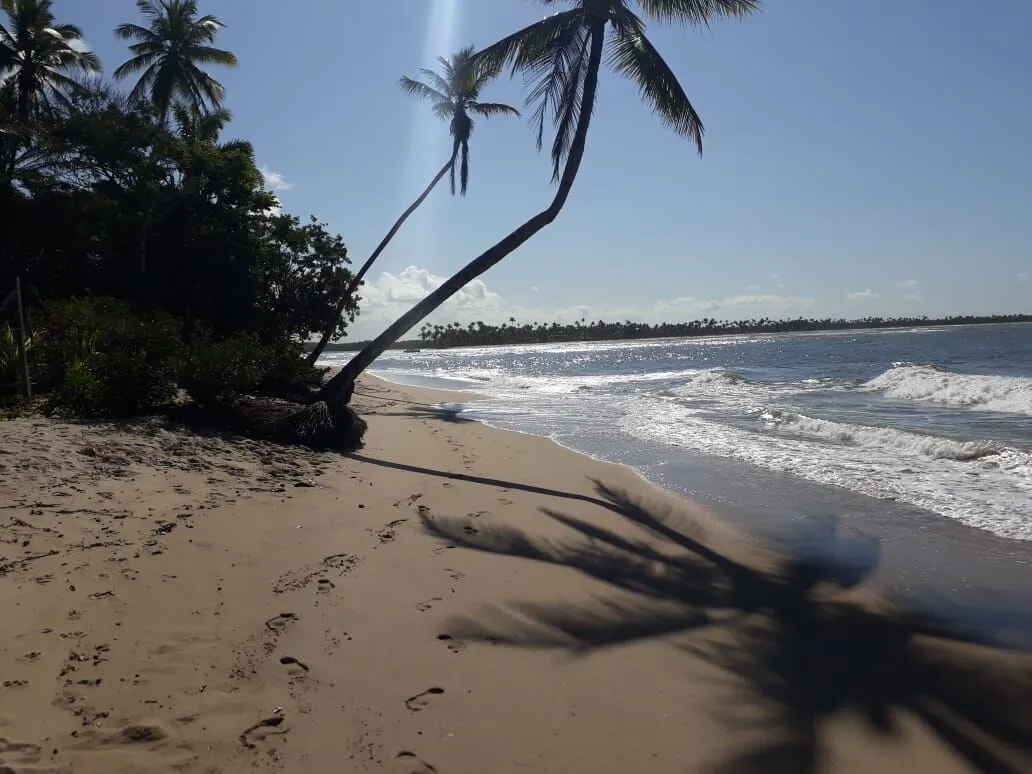Imagem Oportunidade única: Área de Terra em Velha Boipeba, Cairu - confira!