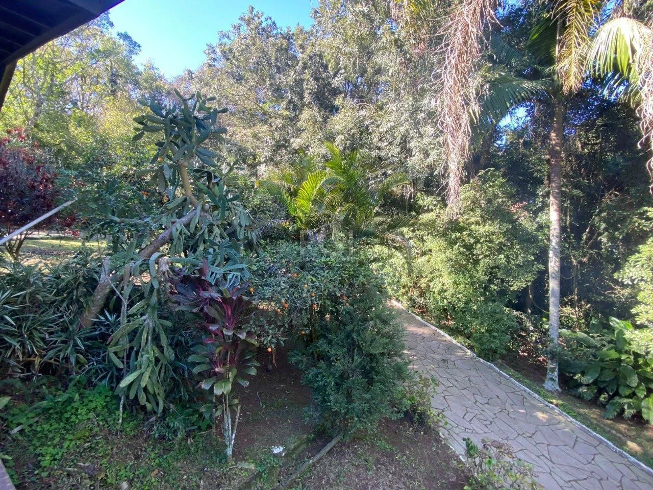 Imagem Sítio 2 dormitórios , sendo 2 suites, Ponta Grossa, Porto Alegre RS