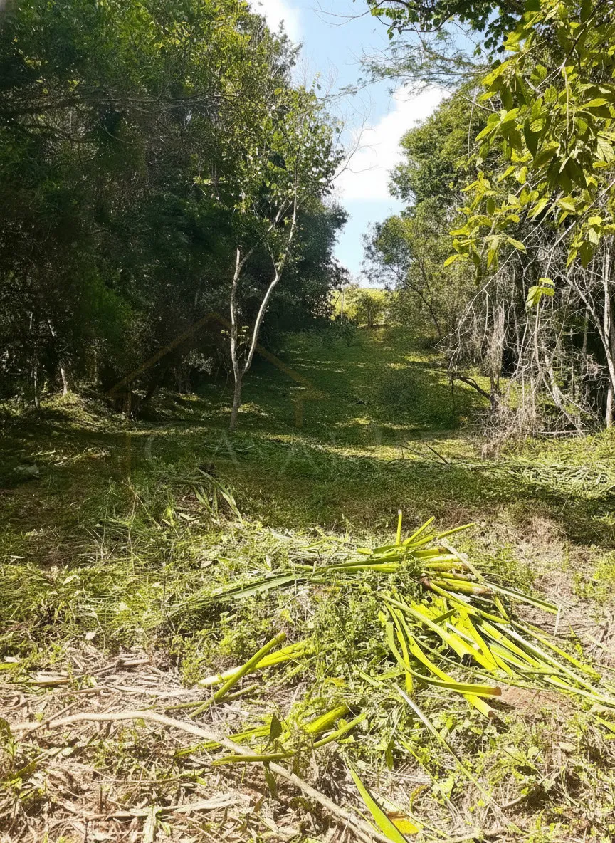 Imagem Chácara 70 m² à venda em Pião, Campestre