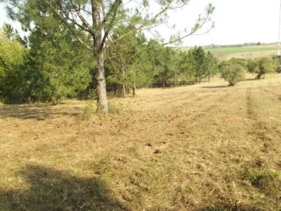Imagem INVESTIDORES!!! Excelente área de 8 Hectares, frente RS040, Águas Claras