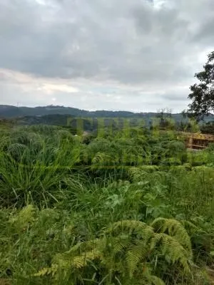 Imagem Terreno 750 m² à venda no Recanto Maravilha III - Santana de Parnaíba