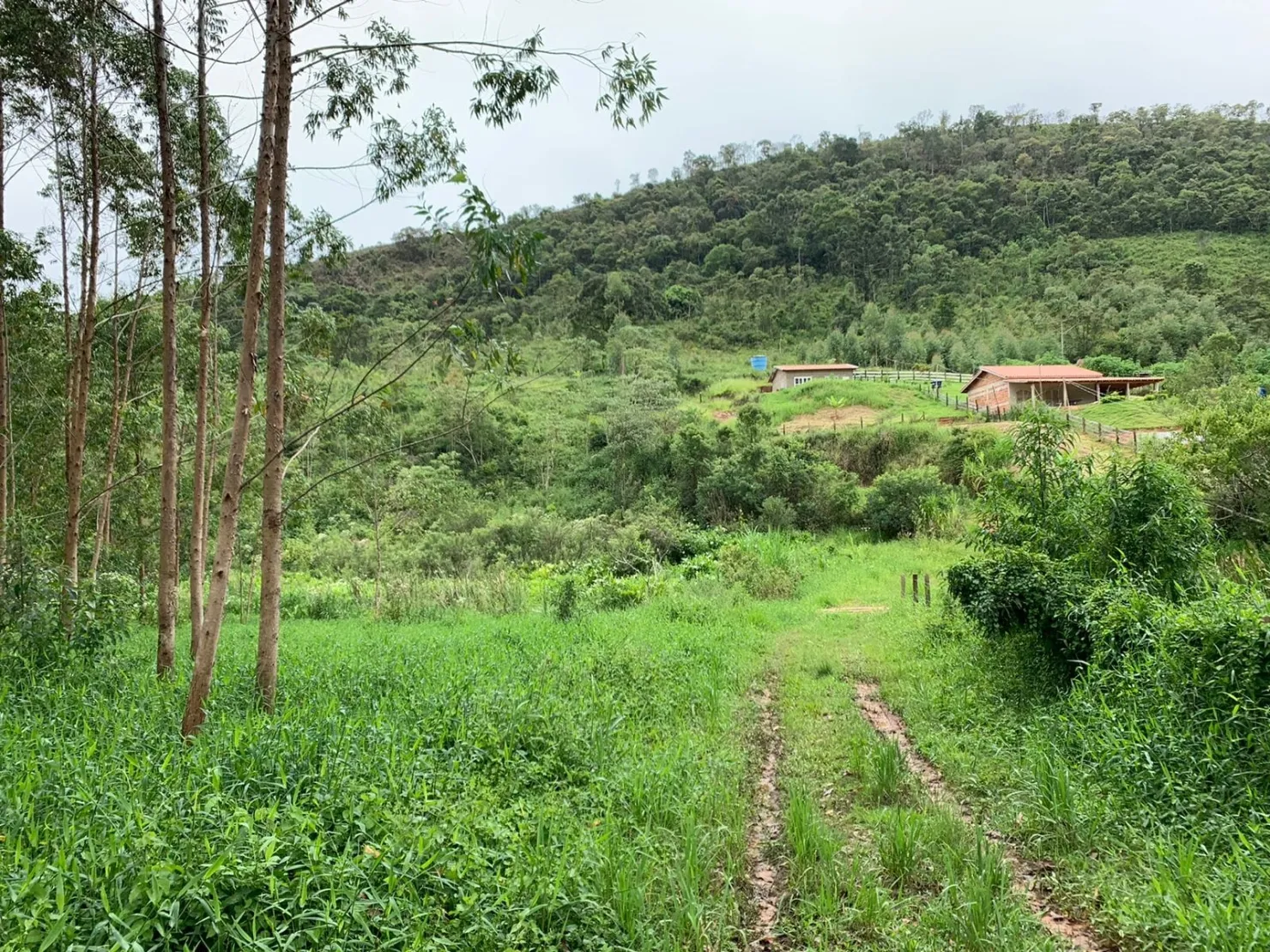Chácara à venda Zona Rural, Lagoinha - SP