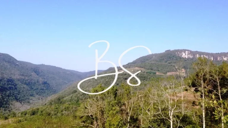 Imagem SITIO RURAL em NOVA PETRÓPOLIS - RS, Linha Pirajá Baixa