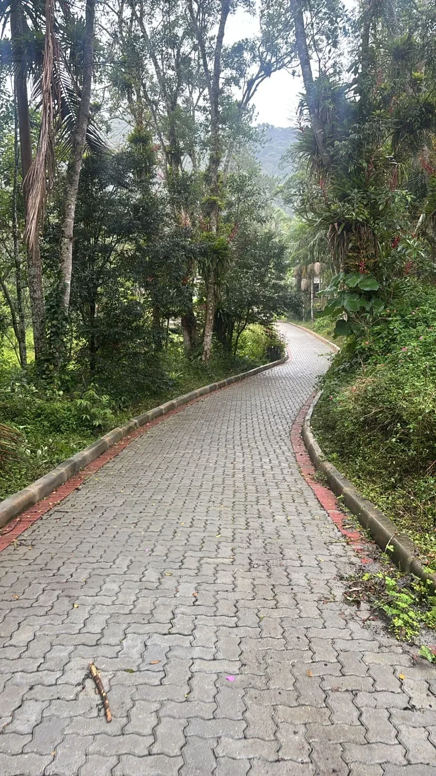 Imagem Chácara com 3 Quartos à Venda, 4000 m² em Rio Grande da Serra - Rio Grande da Serra