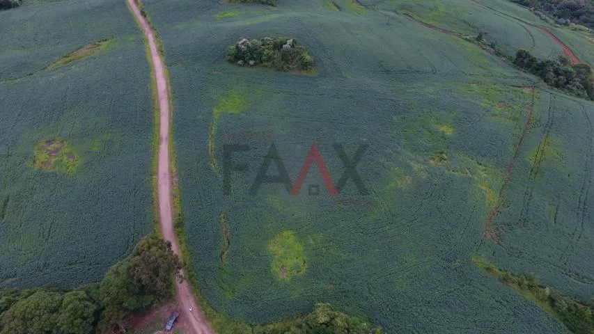 Imagem Excelente área Rural, com 518564.00m , Linha São Paulo, RENASCENCA - PR