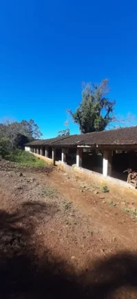 Imagem Área Agrícola para Venda em Ipumirim, Interior