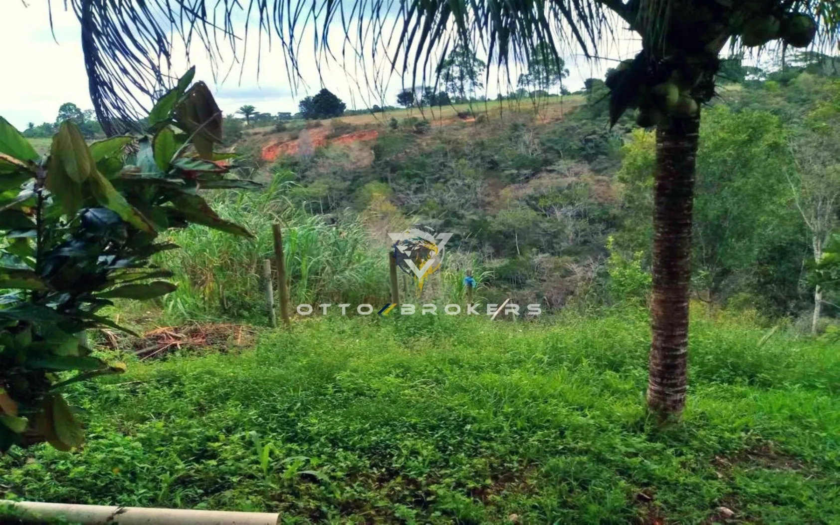 Imagem AREA RESIDENCIAL em PORTO SEGURO - BA, Imbiruçu de dentro