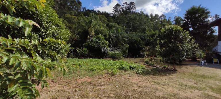 Imagem Sítio a venda, Com casa e lagoa de peixes, e riacho atravessado o terreno a 300 metros da SC 108. Boa área de 4.000m² de plantio com terra boa,