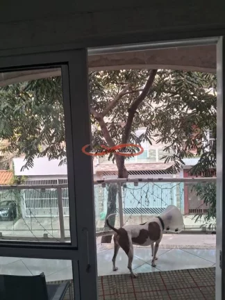 Imagem SOBRADO DE FINO ACABAMENTO PARA ALUGAR -