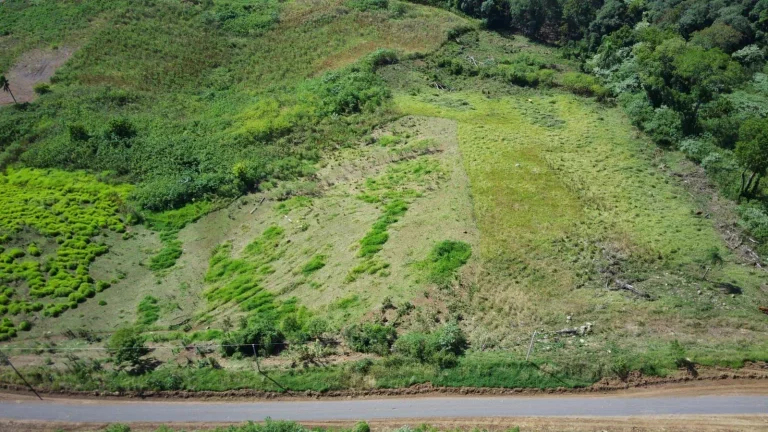Imagem Terreno para Venda em Concórdia, Arvoredo