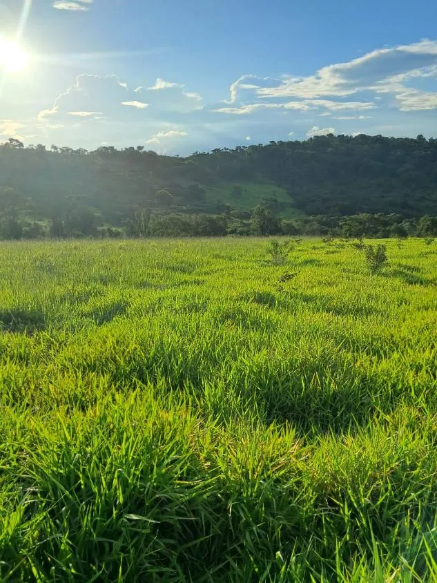 Imagem VENDE-SE FAZENDA EM PASSA TEMPO / MG área total de 100 hectares