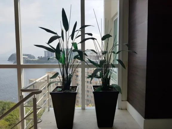 Imagem Cobertura com 5 Quartos à Venda, 680 m² em Icaraí - Niterói